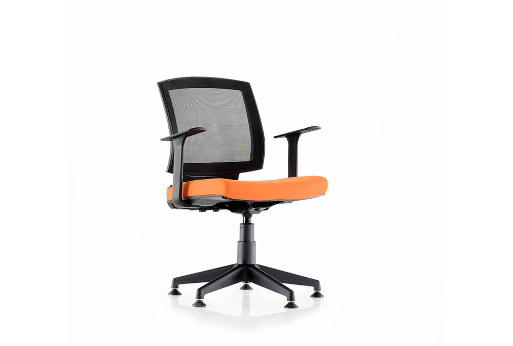Stuhl Reks P – Goldsit