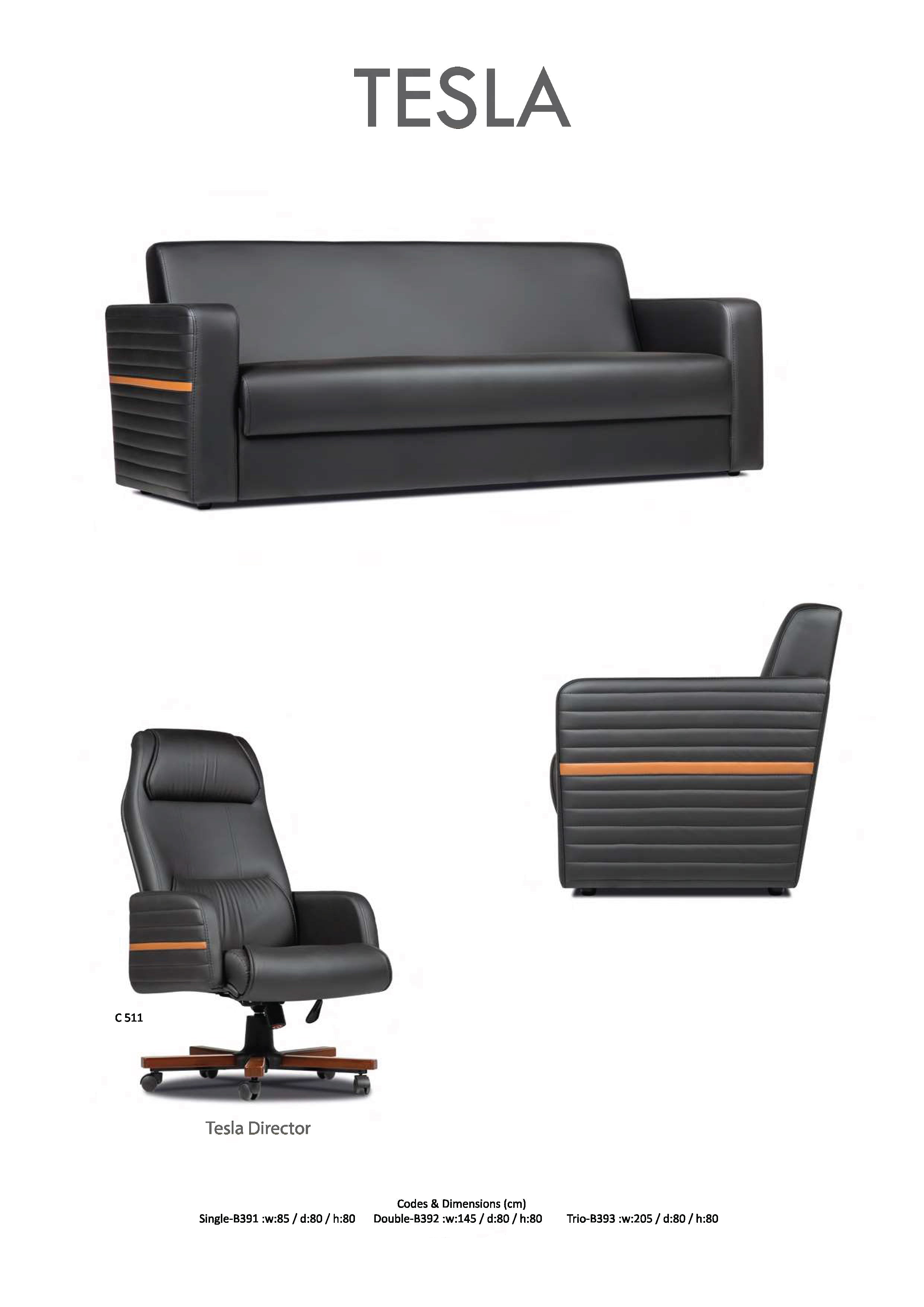 TESLA CEO - Луксозен диван Tesla Coil