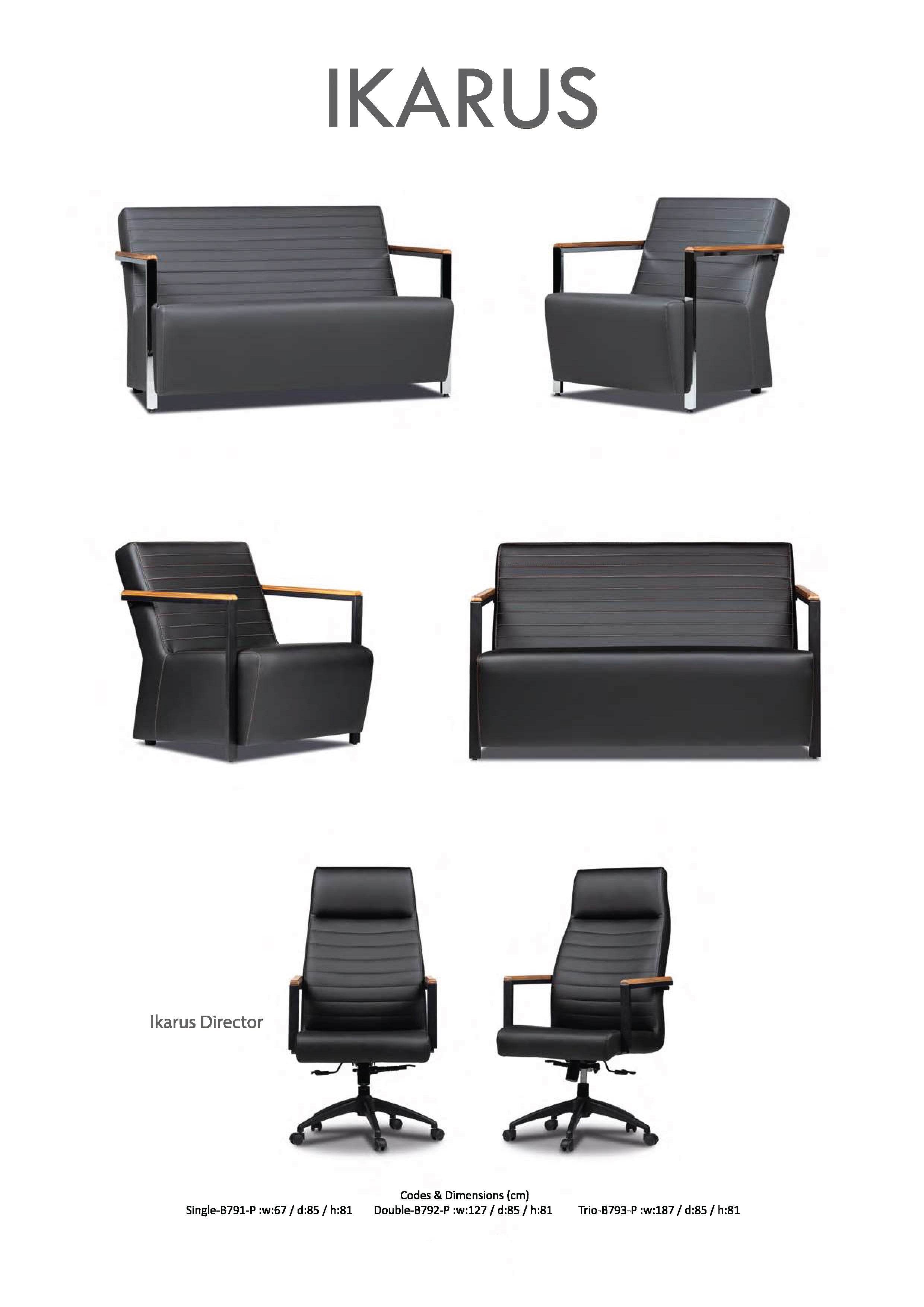 ceo ikarus. диван