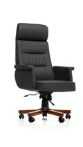 Stuhl Nitro N – Goldsit