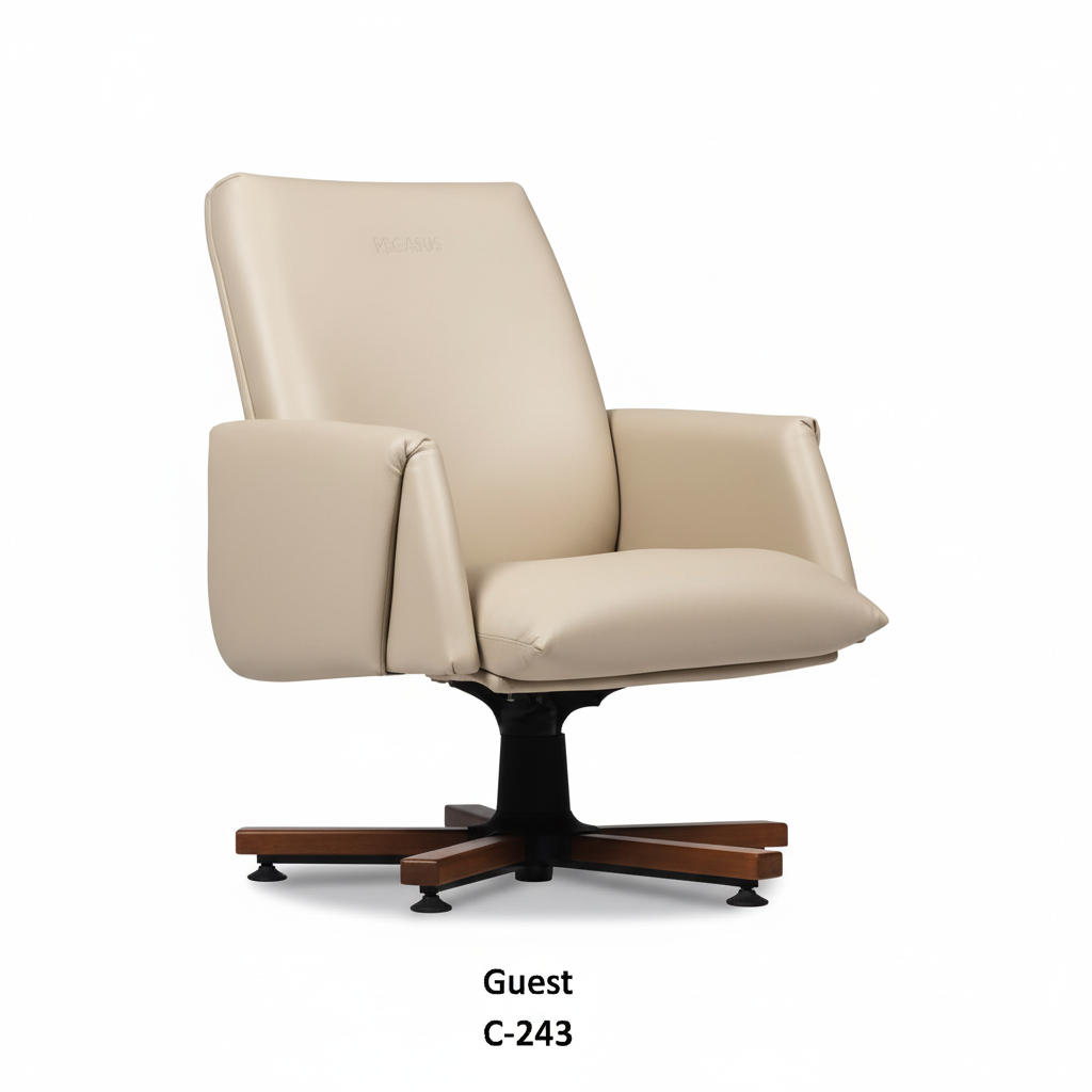 PEGASUS CEO Guest C-243 White