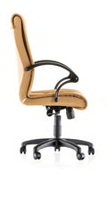 Stuhl Star P – Goldsit